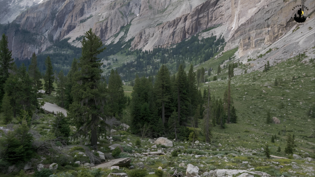 Ophir Pass