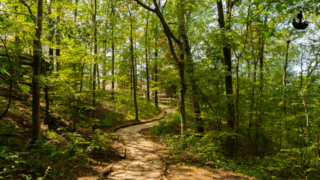 Research the Trail Before You Go