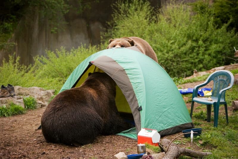 Camp Etiquette & Respect for Remote Sites